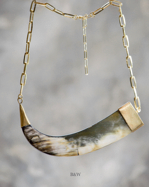 COLLAR KOVA BOLD