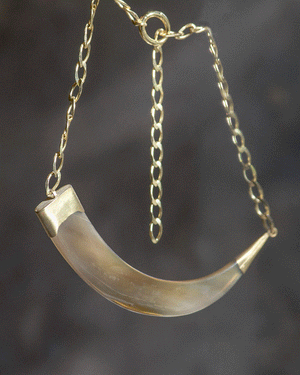 COLLAR KOVA CURVE