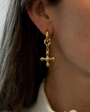 AROS LACRUZ 01